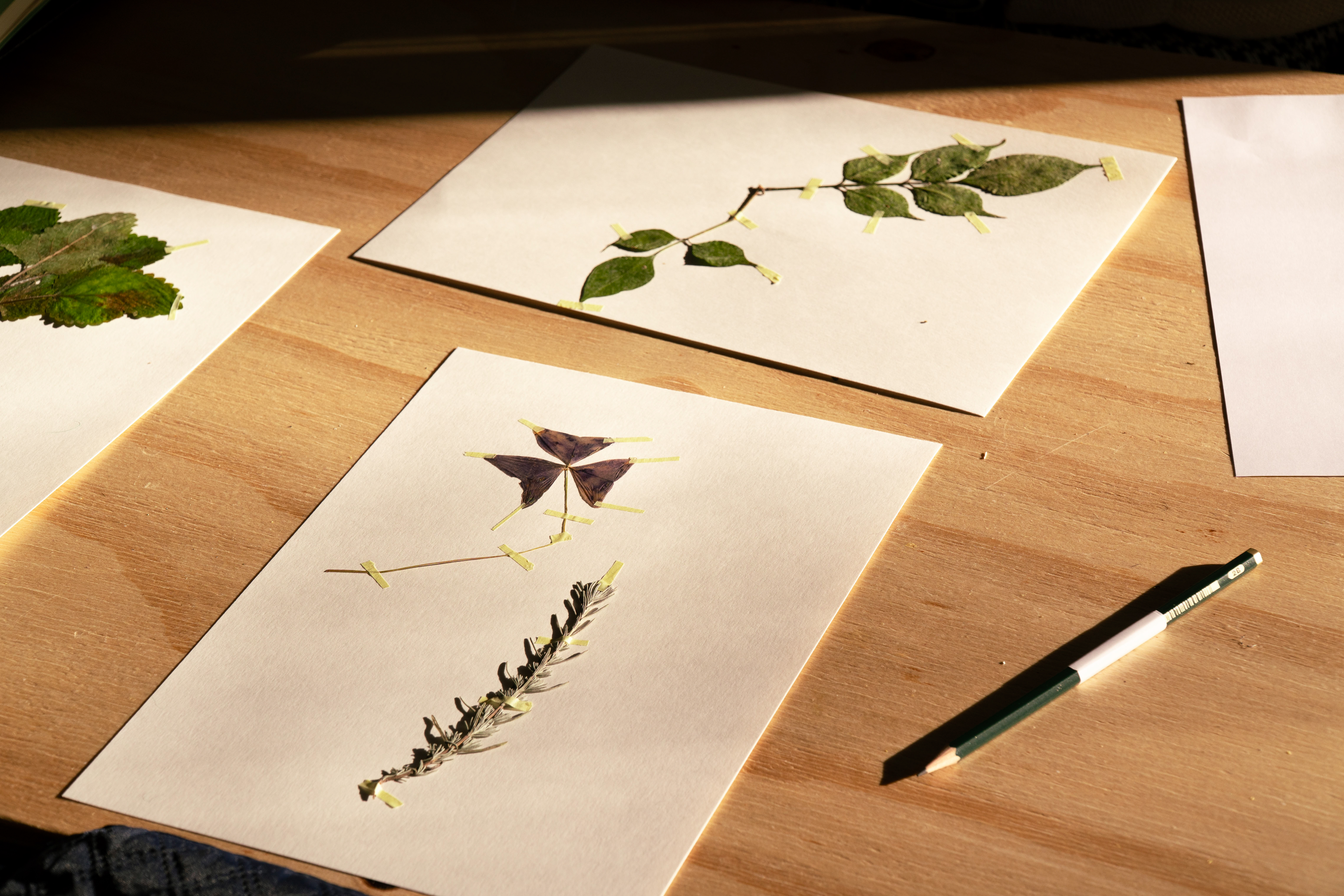 Porto Design Biennale image 9