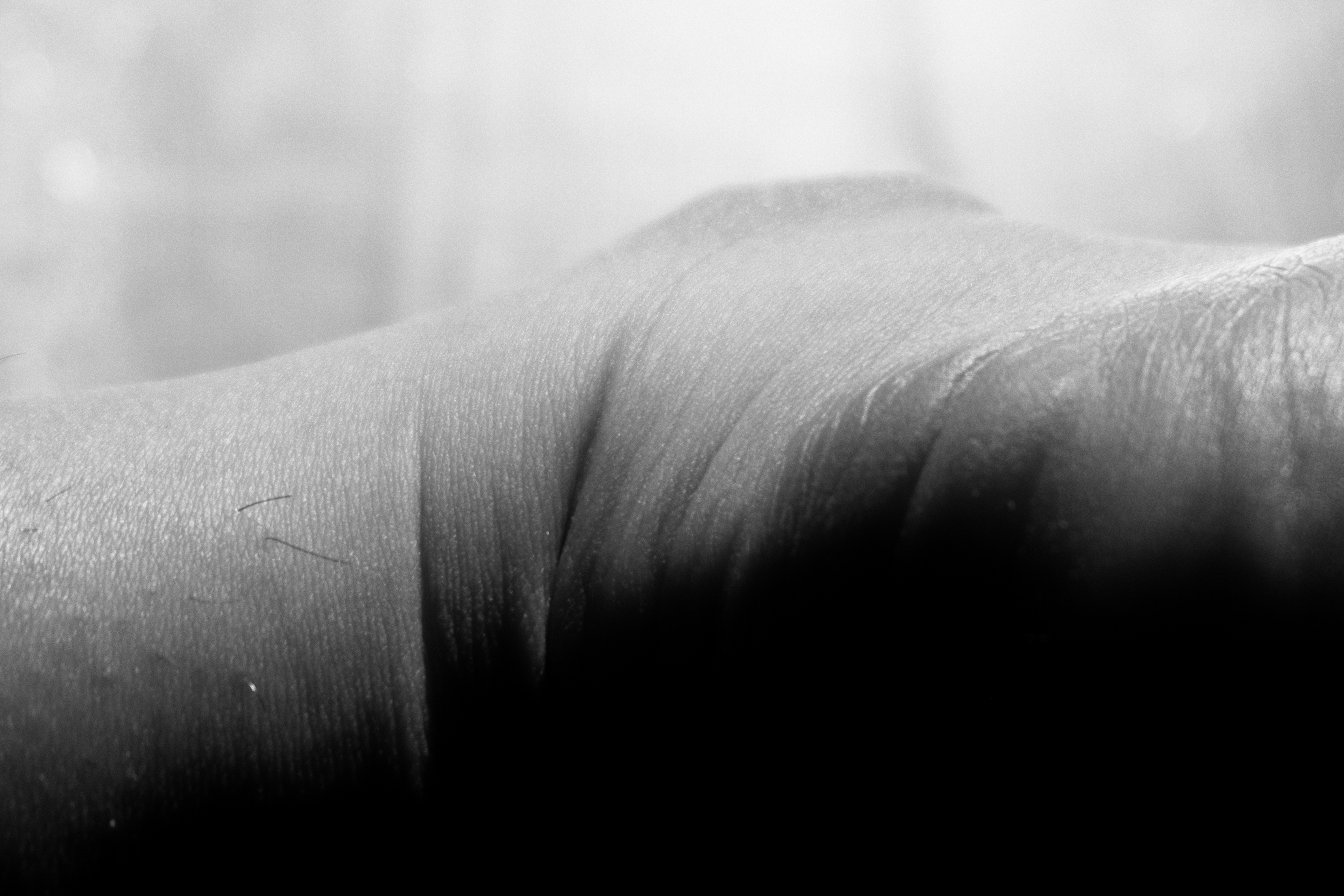 Cartografia da Pele image 11