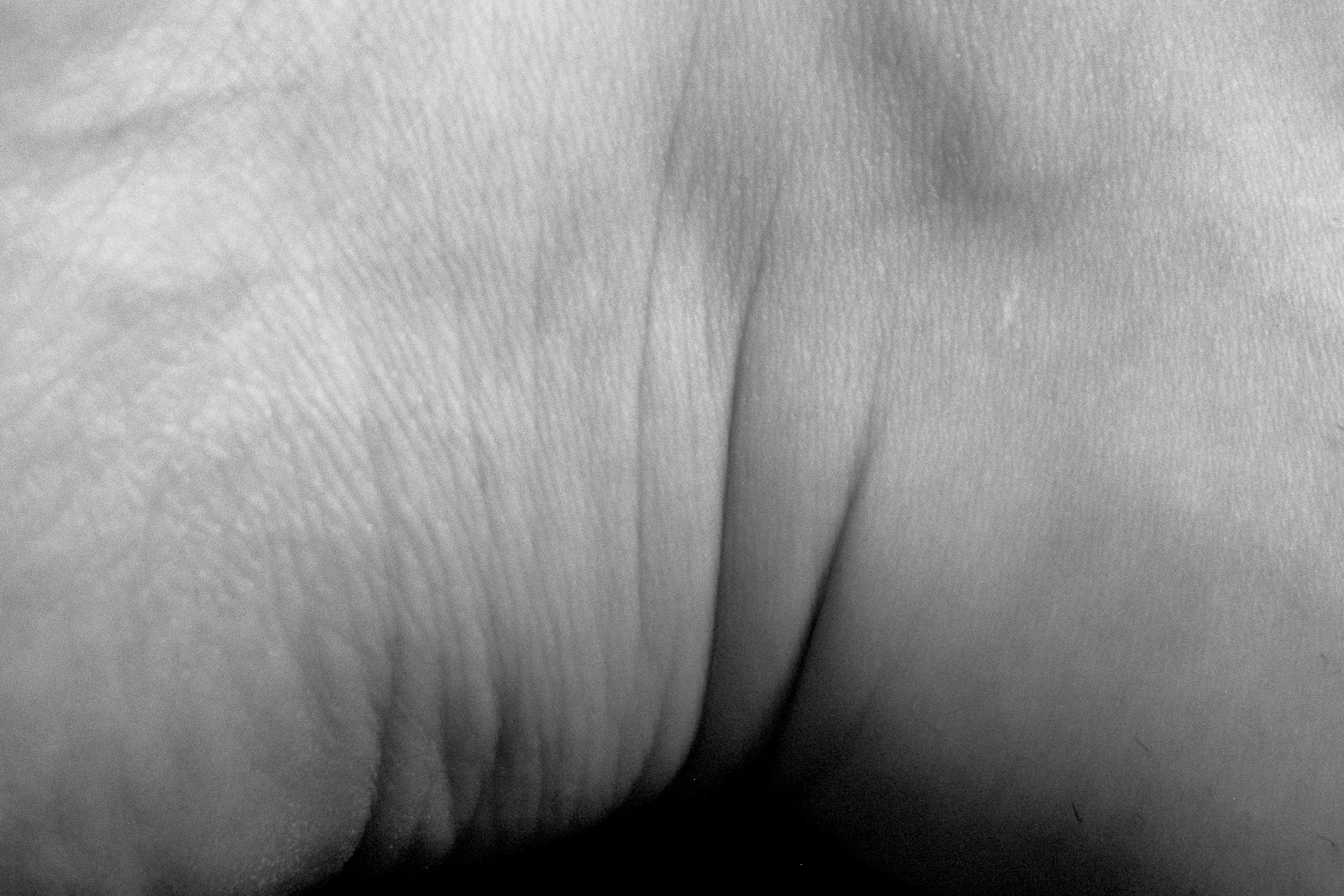 Cartografia da Pele image 12