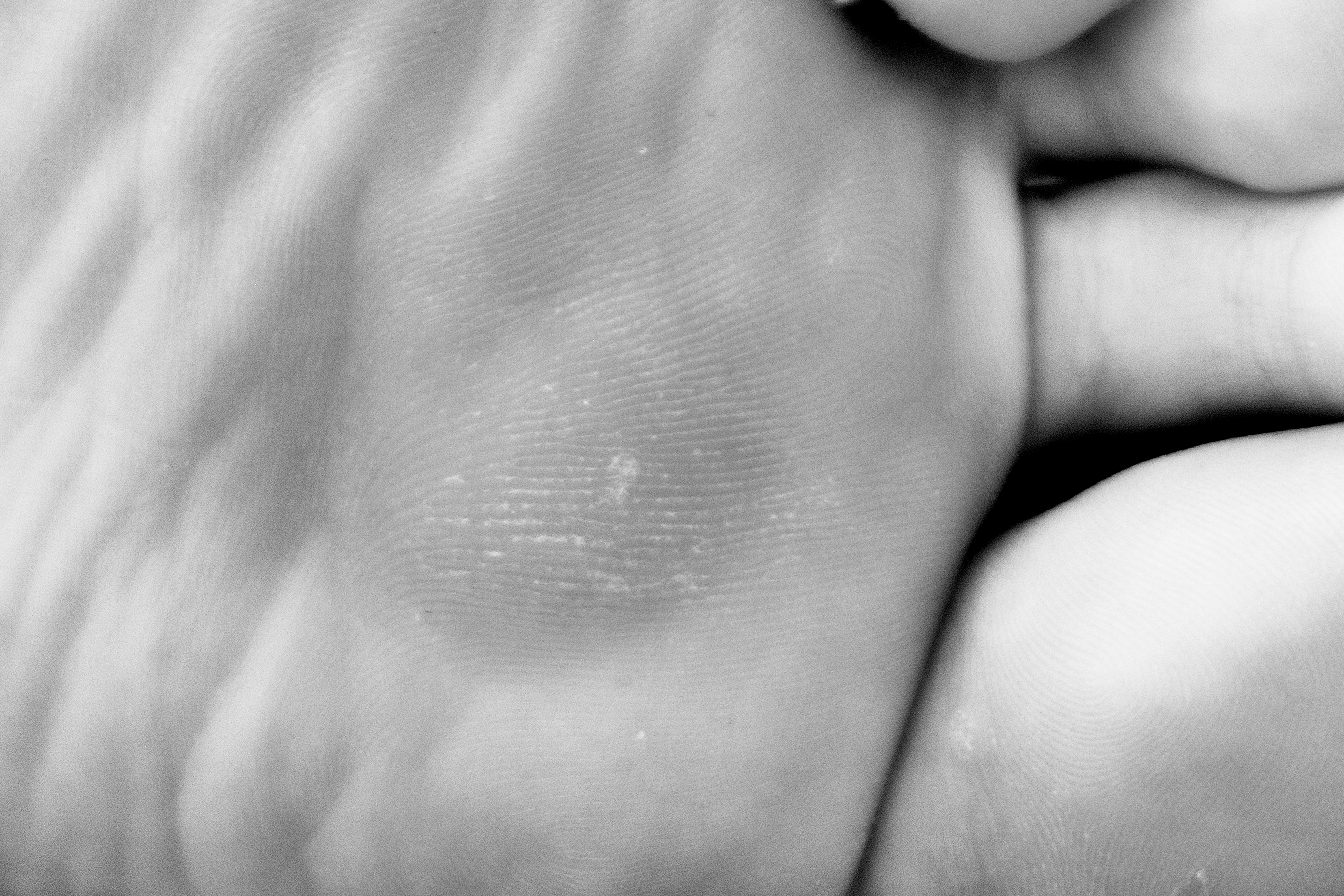 Cartografia da Pele image 13