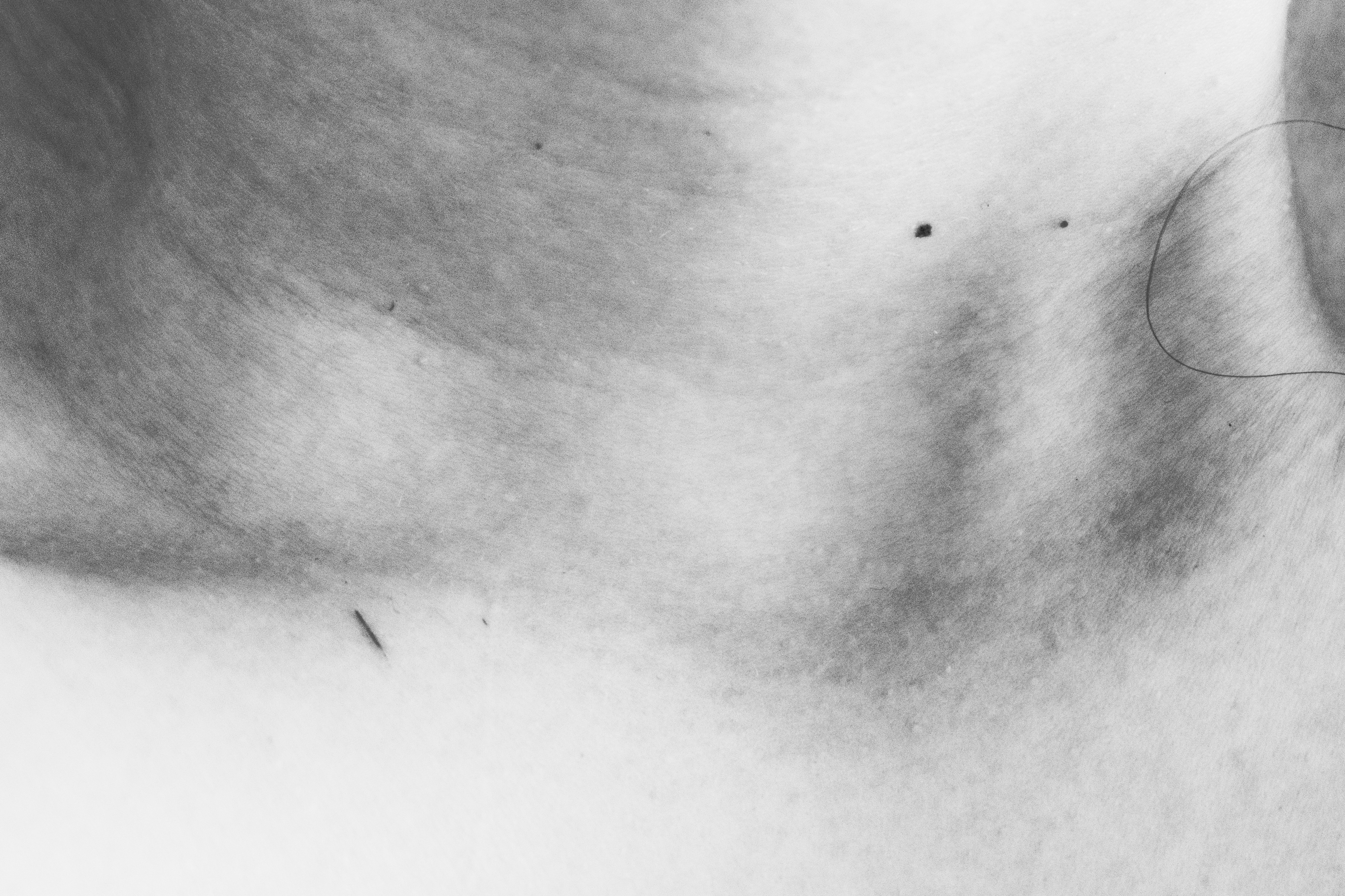 Cartografia da Pele image 2