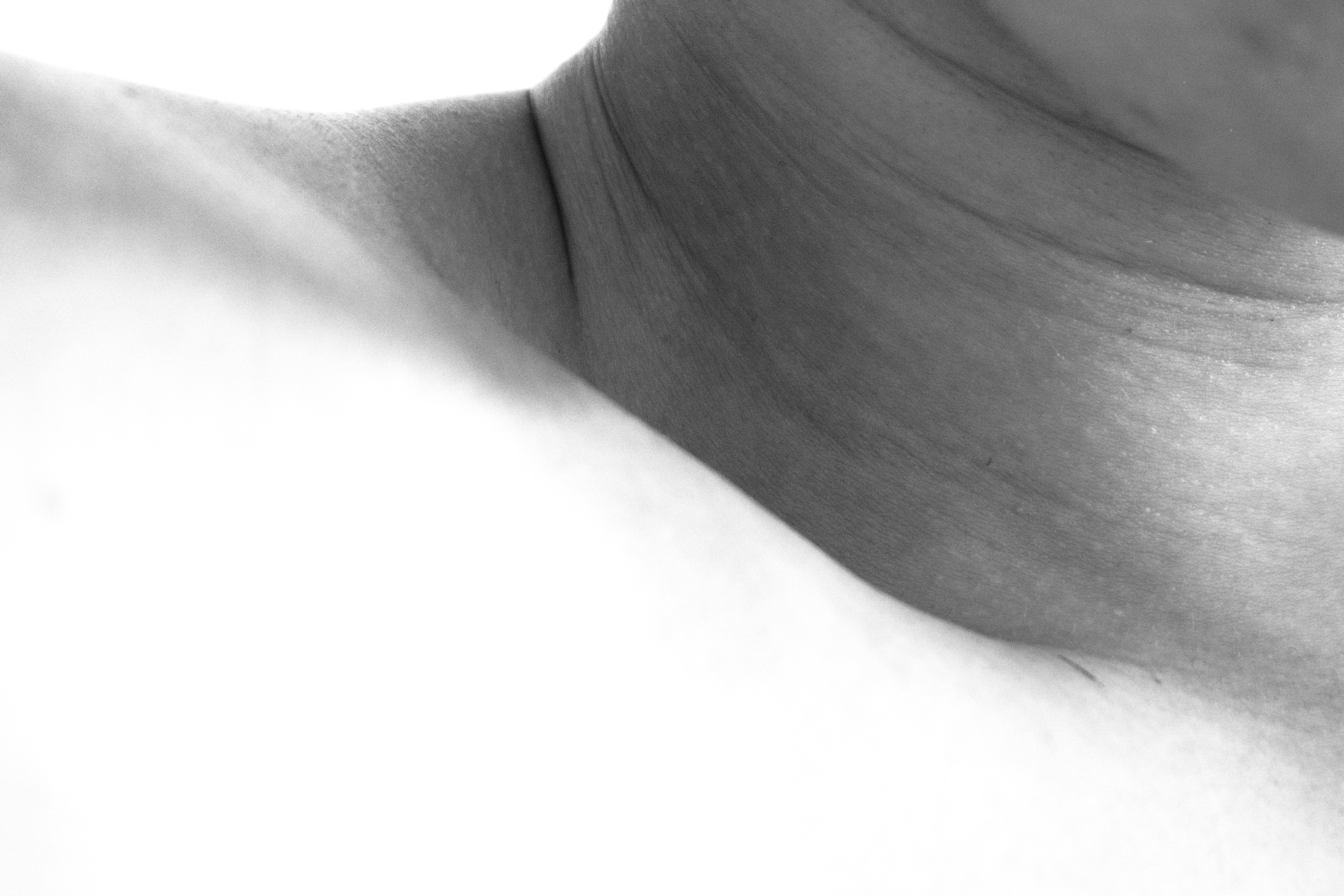 Cartografia da Pele image 3