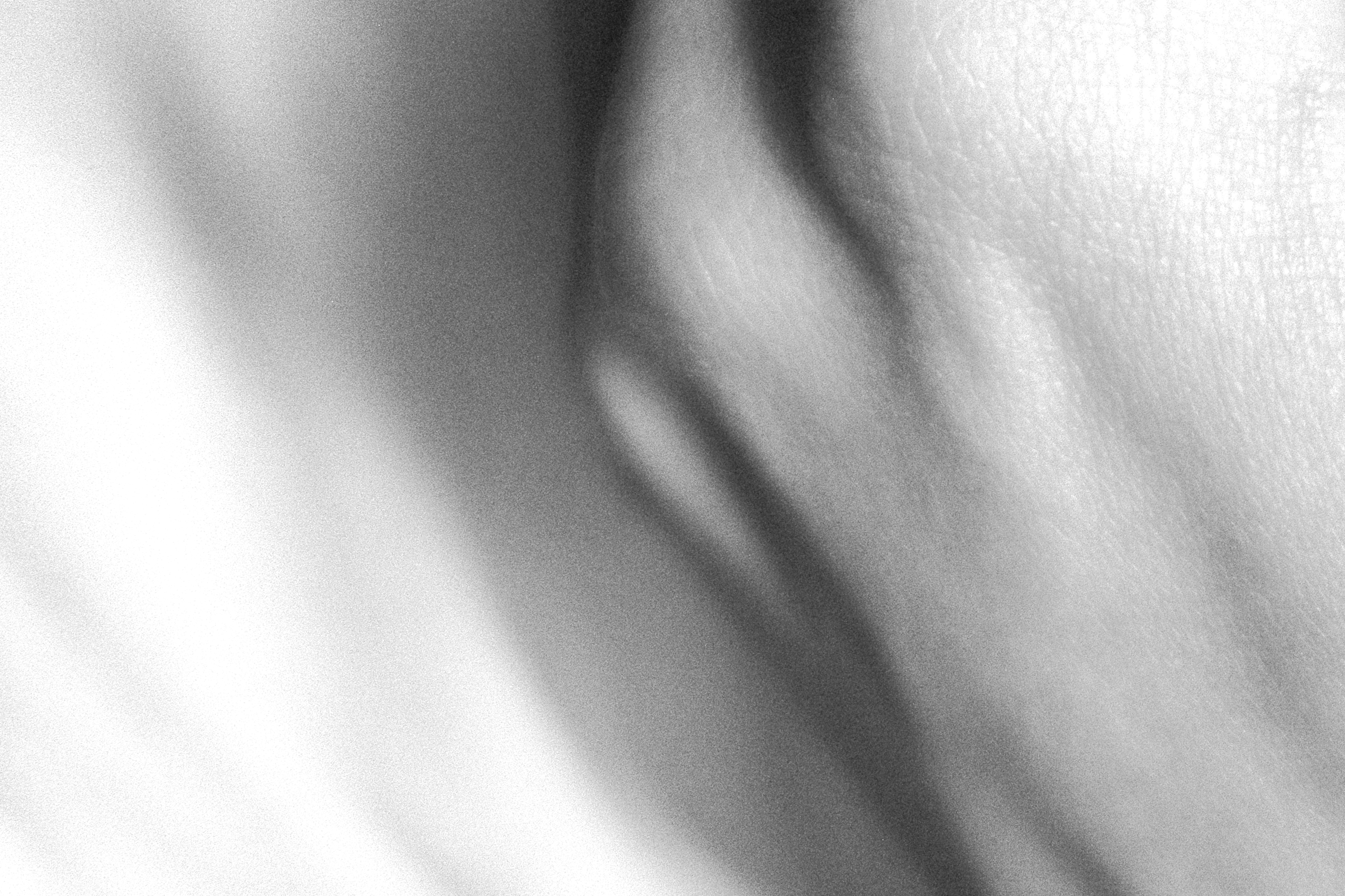 Cartografia da Pele image 5