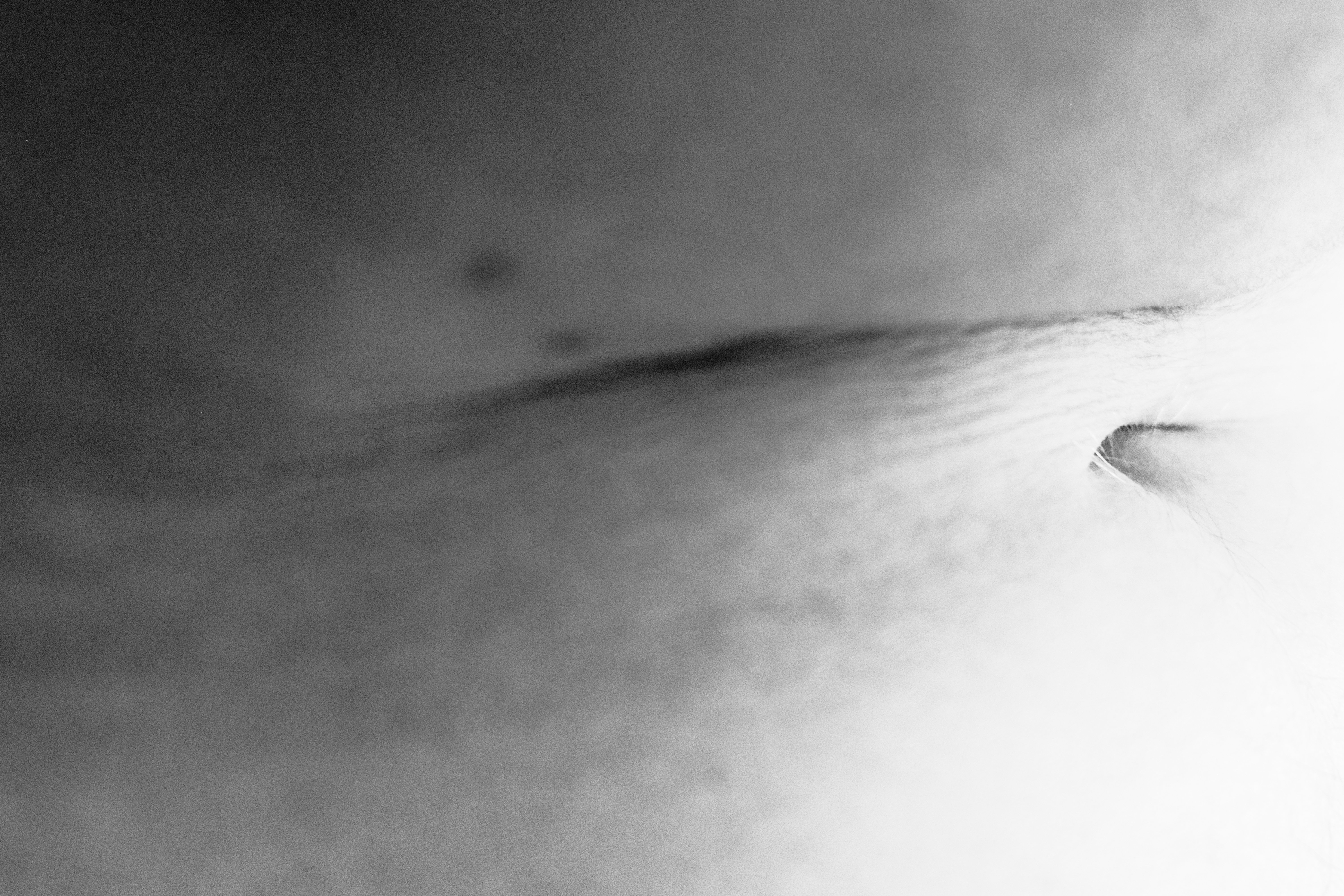 Cartografia da Pele image 7